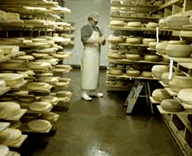 La Regional, venta de quesos en Coyoacn, brie, camembert, Mxico DF