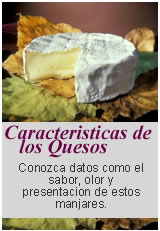 Venta de Brie, Parmesano, Mozzarella, roquefort, quesos de calidad