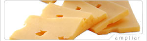 La Regional, caractersticas de quesos, emmental, ventas de queso, Coyoacn, Mxico DF